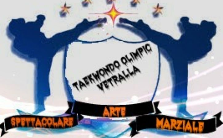 logo taekwondo