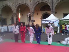 viterbo taekwondo 252