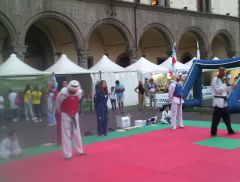 viterbo taekwondo 259