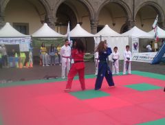 viterbo taekwondo 240