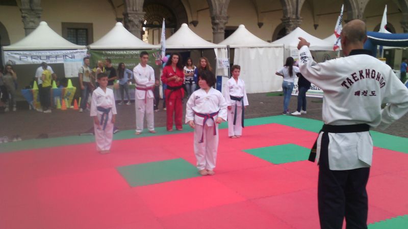 viterbo%20taekwondo%20232