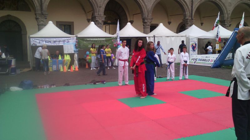 viterbo%20taekwondo%20241