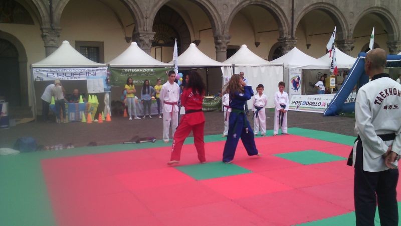 viterbo%20taekwondo%20238