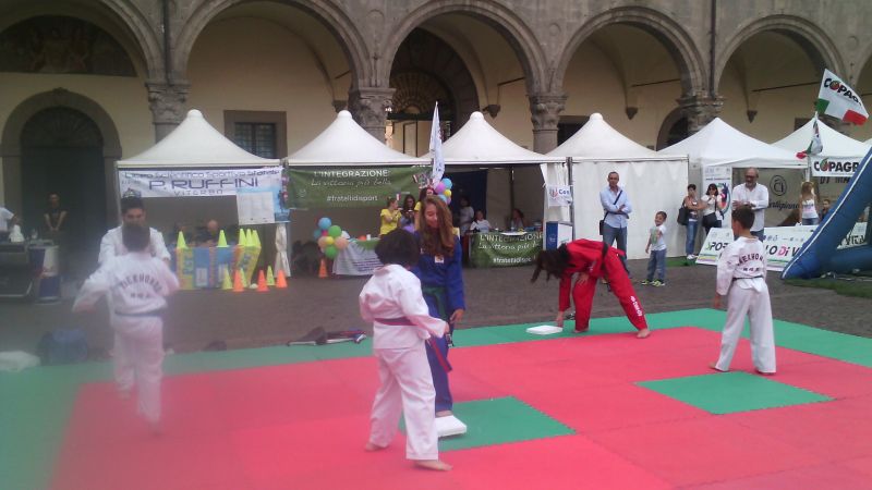 viterbo%20taekwondo%20244