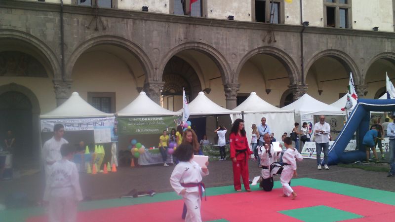 viterbo%20taekwondo%20250