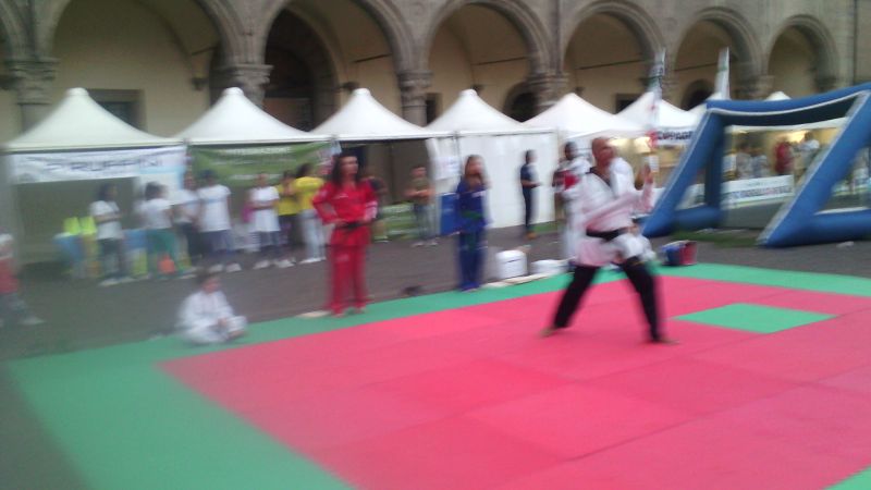 viterbo%20taekwondo%20248