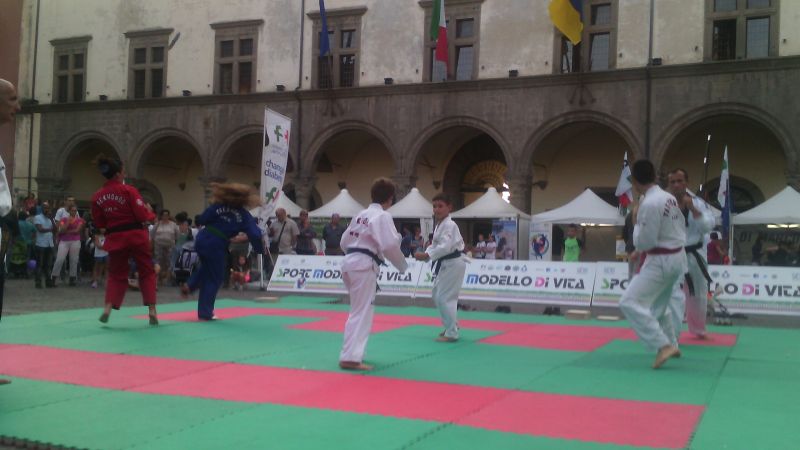 viterbo%20taekwondo%20249